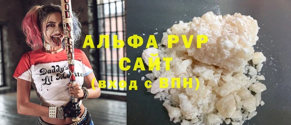 прущие грибы Заречный