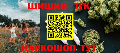 бошки Дубна