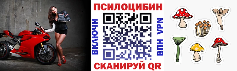 mega ссылки Сегежа Галлюциногенные грибы GOLDEN TEACHER