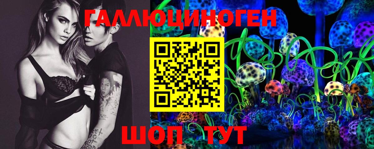 Сегежа  Псилоцибиновые грибы прущие грибы  Вход с VPN 