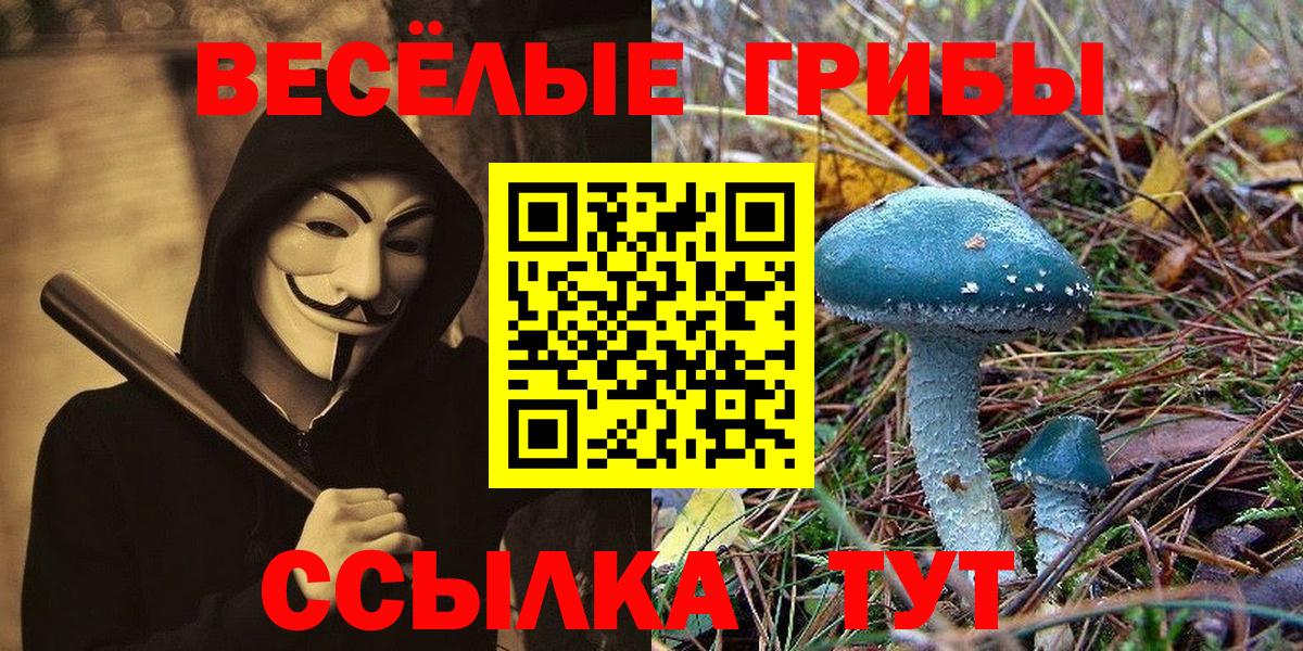 Галлюциногенные грибы мухоморы Сегежа